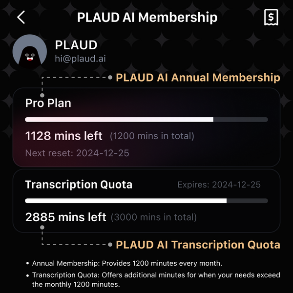 PLAUD KI Transkriptionskontingent
